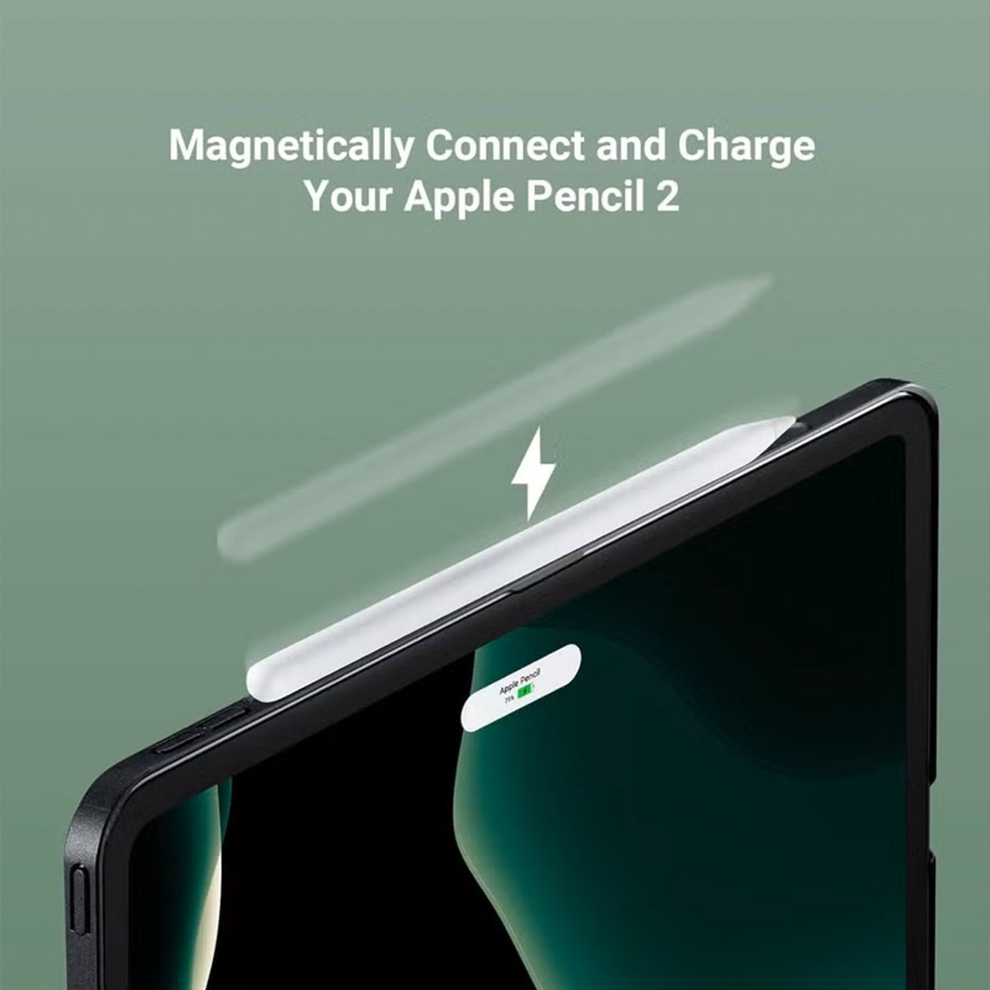 Pitaka Aramid Fiber Case for iPad Pro 11 Inch - Overture